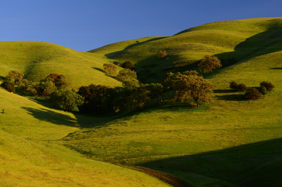 SPRAWLDEF envisions a 25-mile Altamont Hills Wildlife Corridor (AHWC). (Photo: Teslapark.org)